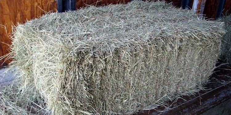 Coastal 2-String 65# Bales