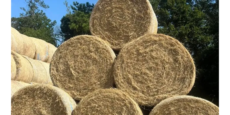 Round Bales (Horse Grade)